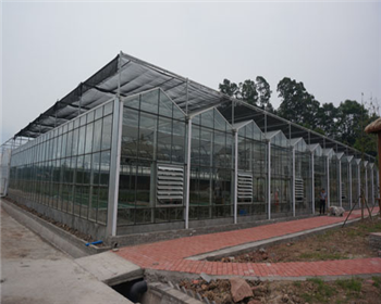 雅安雨城區農業局水果繁育基地